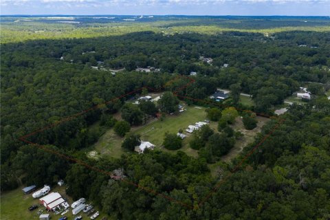 Land in Brooksville, Florida № 1858277 - photo 9