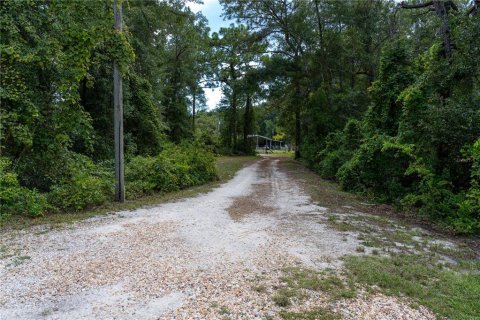 Land in Brooksville, Florida № 1858277 - photo 3