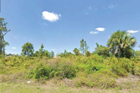 Terrain à North Port, Floride № 2160825