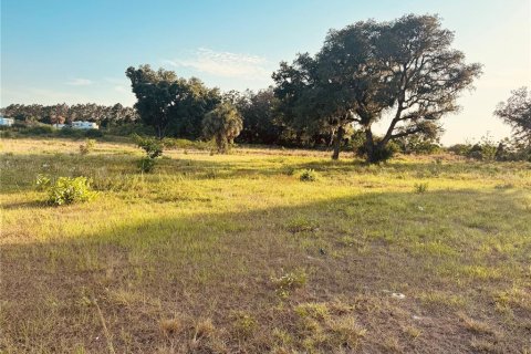 Terreno en venta en Lake Wales, Florida № 1742593 - foto 6