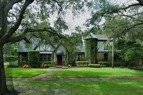 Land in Tampa, Florida № 1775429 - photo 1