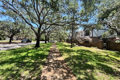 Land in Tampa, Florida № 1775429 - photo 3