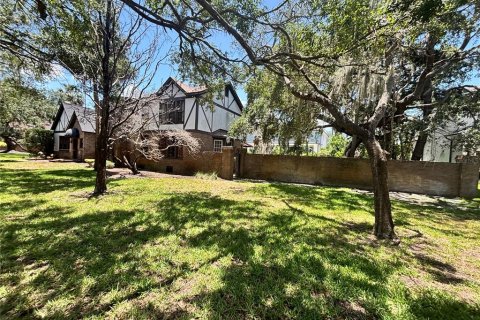 Land in Tampa, Florida № 1775429 - photo 2