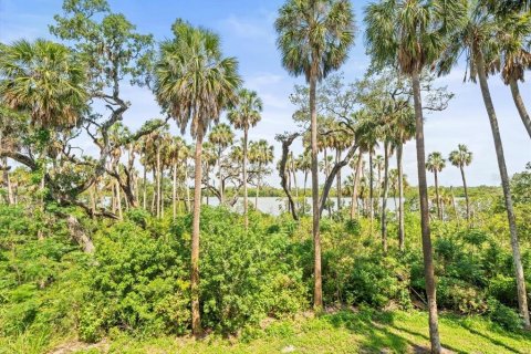Townhouse in PALM RIVER TOWNHOMES in Tampa, Florida 3 bedrooms, 188.59 sq.m. № 1680563 - photo 15