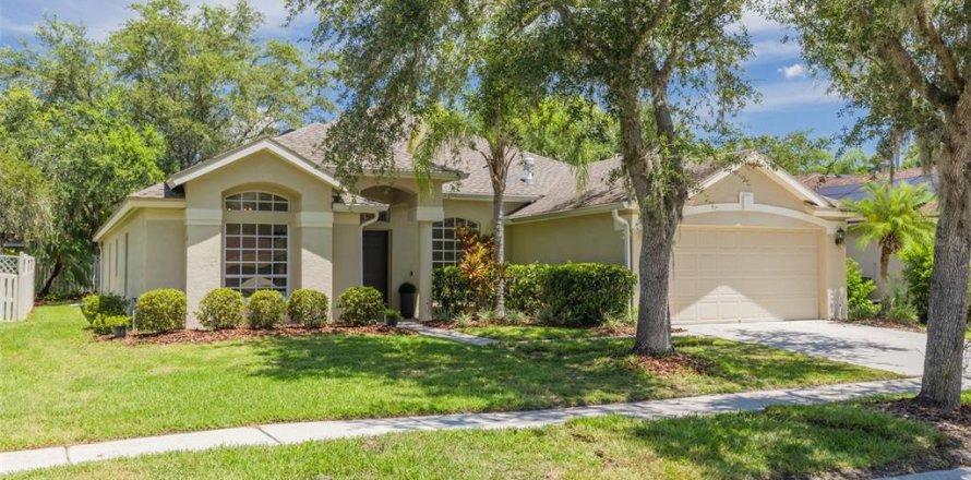 House in Tampa, Florida 5 bedrooms, 222.22 sq.m. № 1826660