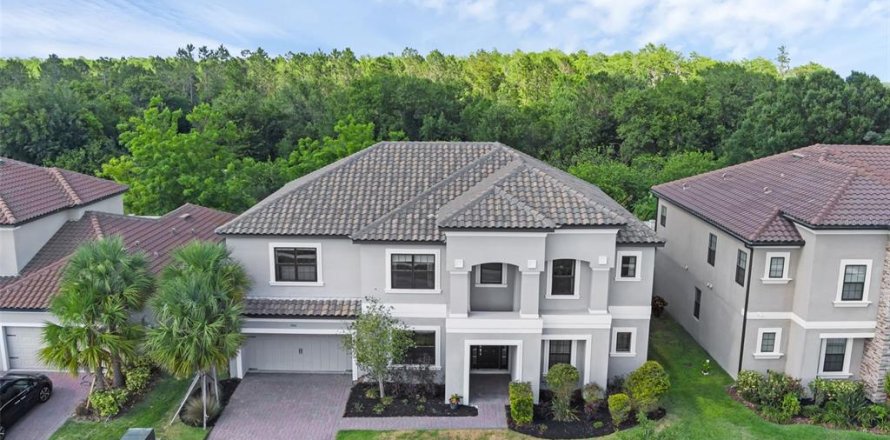 Casa en Kissimmee, Florida 5 dormitorios, 393.16 m2 № 2196046