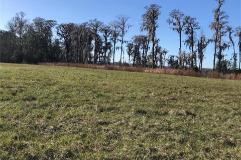 Terreno en venta en Christmas, Florida № 992523 - foto 5