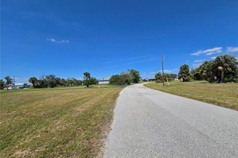Land in Punta Gorda, Florida № 2165056 - photo 5