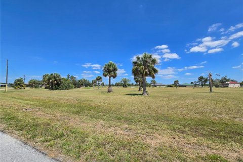 Land in Punta Gorda, Florida № 2165056 - photo 3
