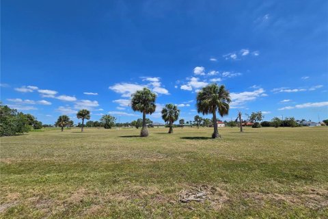 Land in Punta Gorda, Florida № 2165056 - photo 2