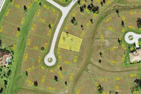 Land in Punta Gorda, Florida № 2165056 - photo 6
