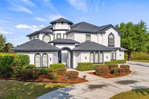 Villa ou maison à vendre à Clermont, Floride: 4 chambres, 351.17 m2 № 1602654 - photo 2