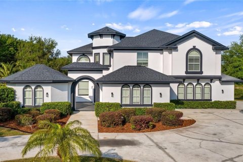 Villa ou maison à vendre à Clermont, Floride: 4 chambres, 351.17 m2 № 1602654 - photo 1