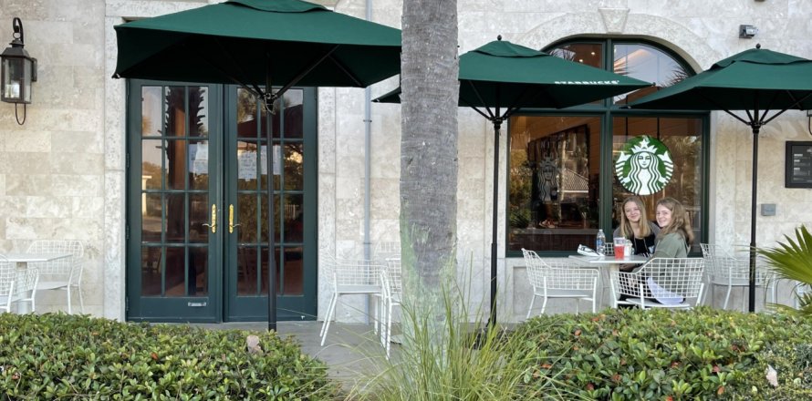 Immobilier commercial à Santa Rosa Beach, Floride № 558797
