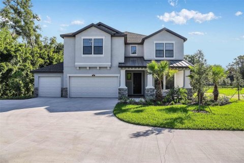 Villa ou maison à vendre à Lutz, Floride: 6 chambres, 399.48 m2 № 1829322 - photo 1