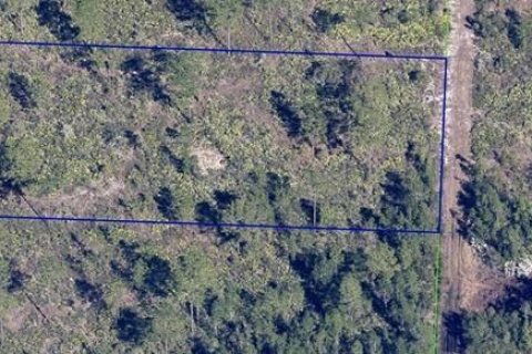 Terreno en venta en Orlando, Florida № 2217333 - foto 6