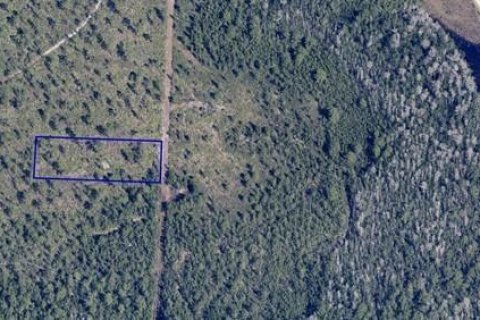 Terreno en venta en Orlando, Florida № 2217333 - foto 8