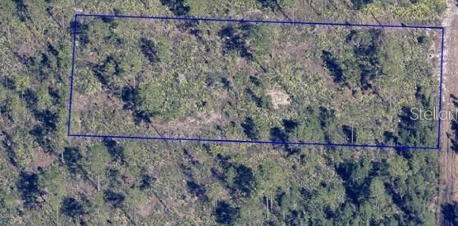 Terreno en Orlando, Florida № 2217333