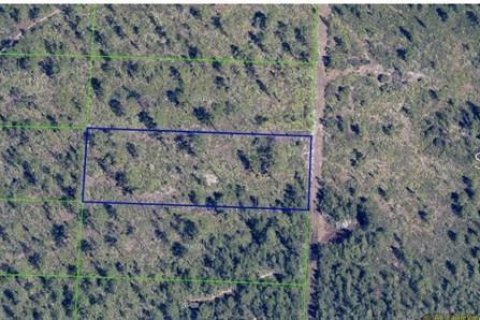 Terreno en venta en Orlando, Florida № 2217333 - foto 2