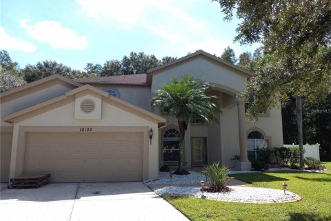 Villa ou maison à Tampa, Floride 6 chambres, 312.24 m2 № 2361398
