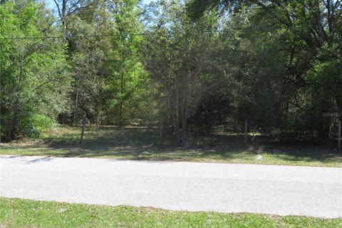 Land in San Antonio, Florida № 2232809