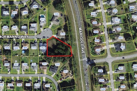 Terreno en venta en Kissimmee, Florida № 1755295 - foto 3