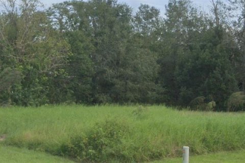 Terreno en venta en Kissimmee, Florida № 1755295 - foto 2
