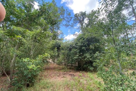 House in Citra, Florida 3 bedrooms, 124.86 sq.m. № 1813374 - photo 20