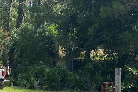 House in Citra, Florida 3 bedrooms, 124.86 sq.m. № 1813374 - photo 2