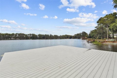 Villa ou maison à vendre à Lutz, Floride: 5 chambres, 359.25 m2 № 2403217 - photo 2