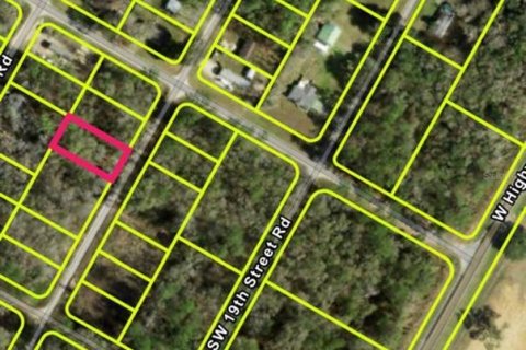 Land in Ocala, Florida № 2161295 - photo 2