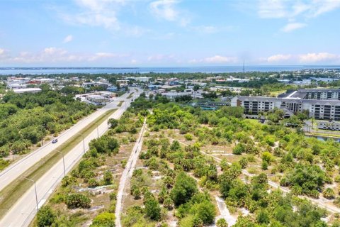 Land in Punta Gorda, Florida № 1759798 - photo 5