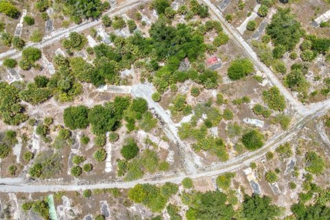 Land in Punta Gorda, Florida № 1759798 - photo 8