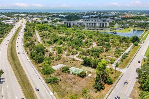 Land in Punta Gorda, Florida № 1759798 - photo 9