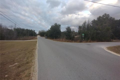 Land in Ocala, Florida № 2160437 - photo 8