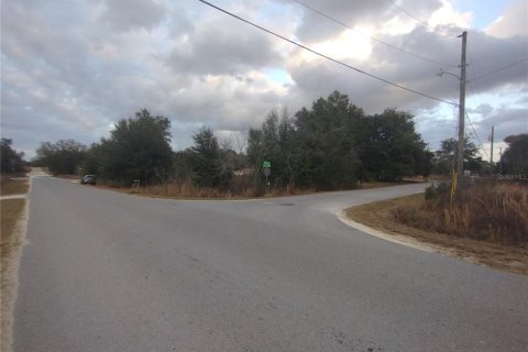 Land in Ocala, Florida № 2160437 - photo 7