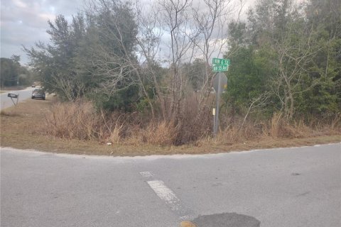 Land in Ocala, Florida № 2160437 - photo 3