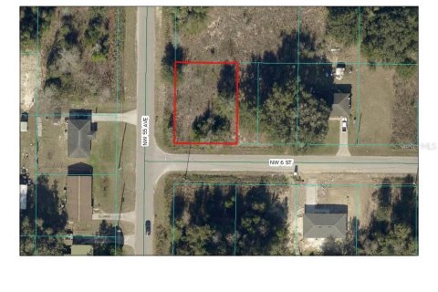 Land in Ocala, Florida № 2160437 - photo 12