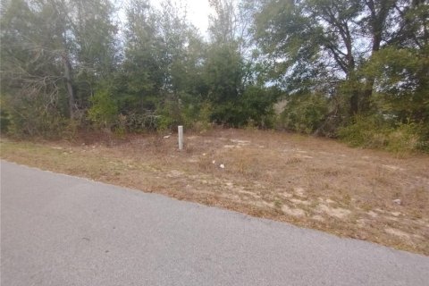 Land in Ocala, Florida № 2160437 - photo 9