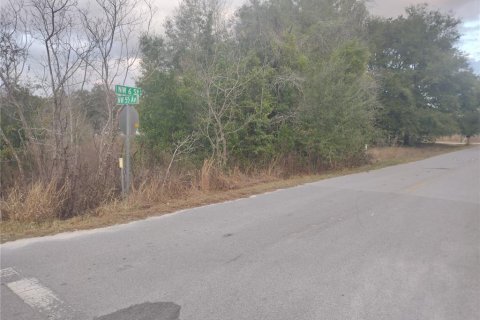 Land in Ocala, Florida № 2160437 - photo 4