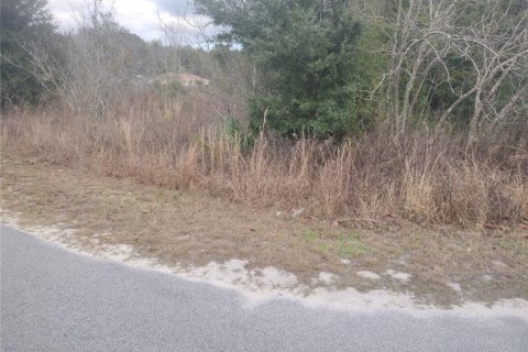 Land in Ocala, Florida № 2160437 - photo 2