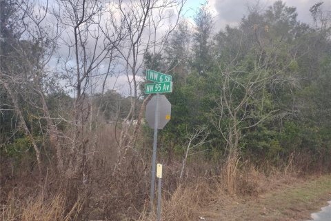 Land in Ocala, Florida № 2160437 - photo 5