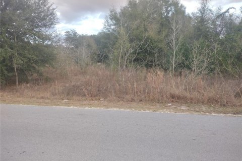 Land in Ocala, Florida № 2160437