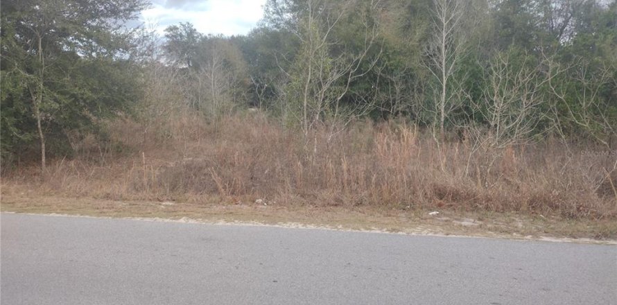 Land in Ocala, Florida № 2160437