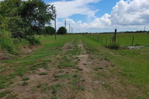 Land in Arcadia, Florida № 518405 - photo 1