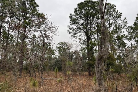 Land in Dunnellon, Florida № 2165251 - photo 4