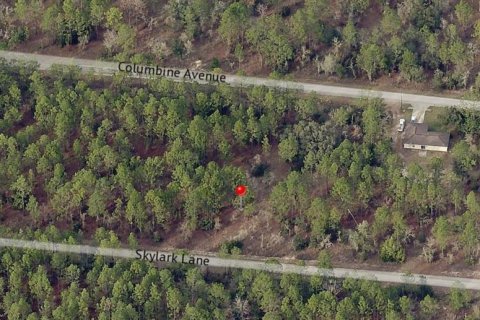 Land in Dunnellon, Florida № 2165251 - photo 8