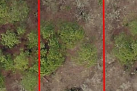 Land in Dunnellon, Florida № 2165251 - photo 2