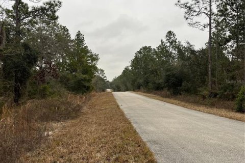 Land in Dunnellon, Florida № 2165251 - photo 10