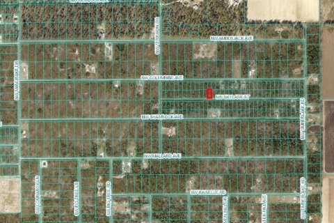Land in Dunnellon, Florida № 2165251 - photo 9